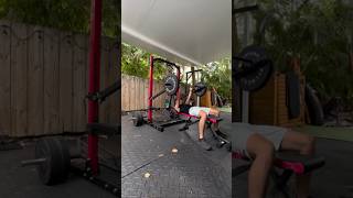 SFJAMMER ARMS by Signature Fitness homegym garagegym weightlifting [upl. by Eentruok]