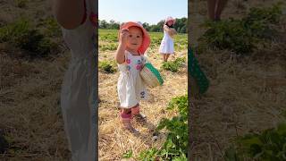 Erdbeeren pflücken 🍓 Familientag auf dem Erdbeerfeld shorts vlog Mamiseelen [upl. by Hudgens556]