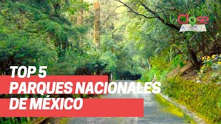 Top 5 Parques Nacionales de México [upl. by Corilla713]