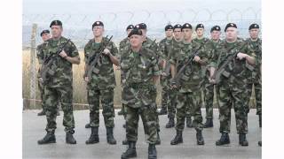 Irish Defence Forces  On Parade  Down through the years [upl. by Doria796]