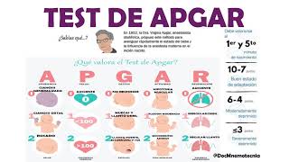 TEST DE APGAR [upl. by Ellednek]