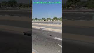 Dubai Broad Bus Stand dubai city busstand people broad spacious youtubeshorts viralshorts [upl. by Dempster]