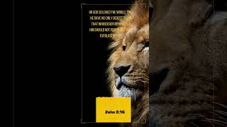 John 316 – quotFor God so loved the world that he gave his only begotten Son bibleverse [upl. by Isabelle]