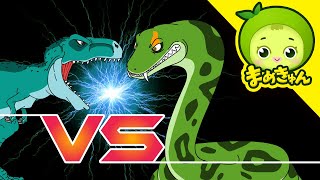 ティラノサウルス VS ティタノボア  恐竜バトル  dinosaur battle  まめきゅん MAMEKYUNN [upl. by Yticilef990]