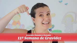 11ª Semana de gravidez [upl. by Notnroht]