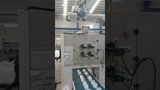 Smart Factories in Action Hygienic Plastic Production with Advanced Robotics [upl. by Akemrej]