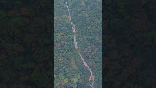 Zhangjiajie Grand Canyon Glass Bridge Bungee Jump [upl. by Ahsekar810]