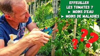 Bien soccuper de ses plants de tomates ► Effeuiller  Arroser  Tailler [upl. by Arob]