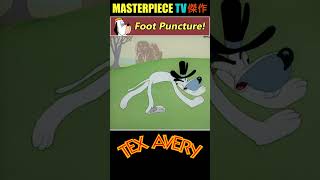 Foot Puncture of Truant Officer by Screwy Squirrel 📌  Tex Avery ᴴᴰ [upl. by Colvert]