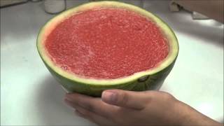 RECETA DE COMO PREPARAR GELATINA CON SANDIA NATURAL  GELATINAS DE FRUTA NATURAL angycrisjavi [upl. by Niryt]