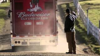 The Clydesdales quotBrotherhoodquot  2013 Budweiser Super Bowl Commercial [upl. by Crysta]