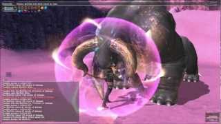 FFXI  Battle Bard BRD  Solo Darkness Skillchain Mordant Rime → Evisceration [upl. by Layney]