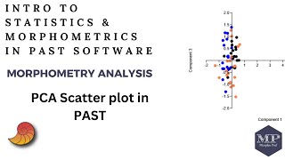 28 PCA Scatter plot in PAST Software [upl. by Ahsuat]