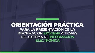 ¿Cómo se presenta la información exógena a través del Sistema de Información Electrónica [upl. by Robby592]