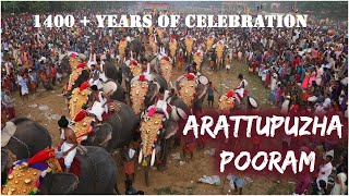 1400  Years of Celebrations  Movie on Arattupuzha Pooram 2019 [upl. by Ninaj]