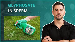 Guys you might have glyphosate in your sperm [upl. by Ativ671]