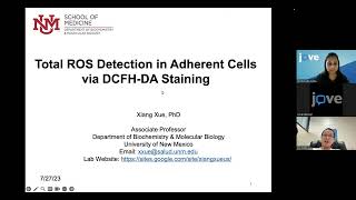 ROS Detection in Adherent Cells via DCFH DA Staining [upl. by Ellenrad663]