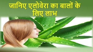 jhadate balon ke liye aloevera ke chamatkari gunaloe verakebenefit [upl. by Hoban887]