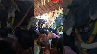 Uthralikavu Pooram 2019  Thrikadavoor Shivaraju [upl. by Nwahs]