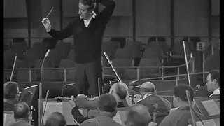 Strauss  Till Eulenspiegel Rehearsal  Celibidache SRSO 1965 English Subtitles [upl. by Valerian211]