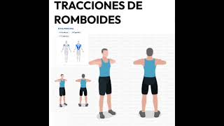 Tracciones de romboides 🏋️🚴 [upl. by Thurmann340]