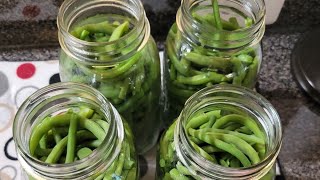 From Garden to Table  Canning Green Beans [upl. by Vharat]