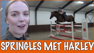 Springen met EsraTim en Harley  PaardenpraatTV [upl. by Edyth317]