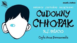 quotCudowny chłopakquot  audiobook [upl. by Legna547]