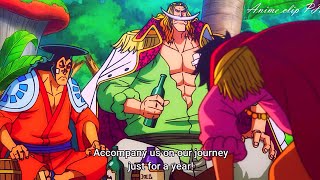 Gol D Roger Wants Oden To Join His Crew And Roger Bowed To Whitebeard  One Piece 966 English Sub [upl. by Griff22]