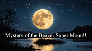 Unlock Hidden Manifestation Power Beaver Full Moon Ritual for Abundance amp Transformation [upl. by Fabiola]