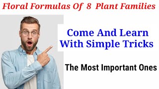 Floral Formulas Of 8 Plant FamiliesSimple Tricks In HindiUrdu [upl. by Newmann]