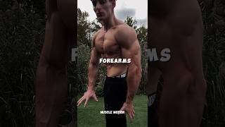 Forearm workout with dumbbells  Best forearm workouts  Forearms workout [upl. by Northrop124]