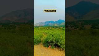 Pyara Islam deen ki batyislamicstatus music quotes 1k youtubeshorts shorts [upl. by Kape243]