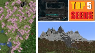 Top 5 SEMILLAS ALUCINANTES de Minecraft 1204 18 [upl. by Immaj]