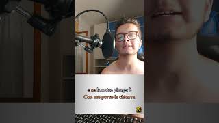 Che Sarà  Ricchi e Poveri cover [upl. by Holladay]