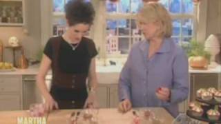 Denise Delaney on Martha Stewart  The Eye Ball [upl. by Nwahsauq]