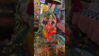 Durga Devi 2024  Kasibugga Grand Celebrations [upl. by Rehprotsirhc]