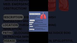 Stridor quotSerious Squeakquot Abnormal lung sounds [upl. by Enitsirt1]