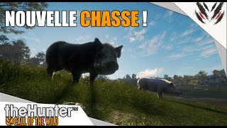 THE HUNTER COTW  CHASSE AUX COCHONS SAUVAGES Te AWAROA [upl. by Phil494]