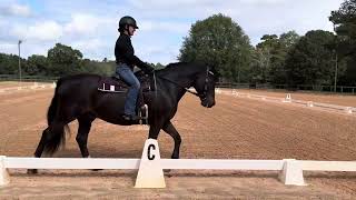 Gerlinde Beckers riding Roscommon Fagan [upl. by Gaynor]