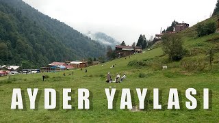 AYDER YAYLASI Karadeniz Turlarının Gözde Mekanı [upl. by Yrtsed]