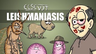 Leishmaniasis  Plain and Simple [upl. by Lowenstern]