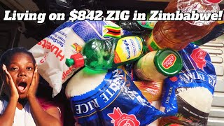 Cost of Living in Zimbabwe 2024 What 842 ZIG Got Me 🇿🇼😱 [upl. by Podvin712]