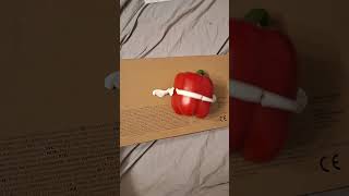 Modern art Keyboard cardboard and pepper with bluetack [upl. by Mcloughlin]