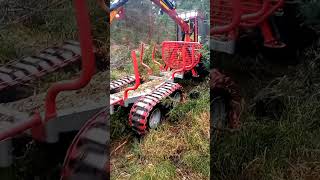 Bizon v Krušných horách LessMB 🌲🇨🇿forestry logging farminghusqvarna stihl [upl. by Llebyram33]