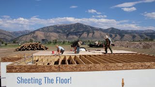 Sheeting the Floor The Cellar Now Has a Roof  Family Team Work amp Unexpected Rain Storm [upl. by Otis596]