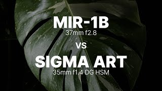 MIR 1B 37mm f28 vs SIGMA 35mm f14 DG HSM ART [upl. by Milda]