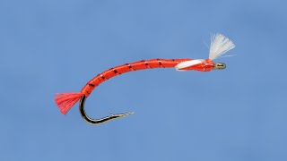 Fly Tying  Bloodworm [upl. by Laise294]