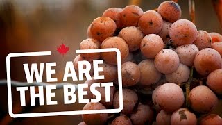 Canadians didnt invent icewine but we did perfect it  We Are The Best [upl. by Blinni]