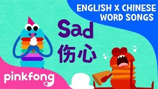 Feeling 心情  English x Chinese Word Songs  Pinkfong Songs for Children [upl. by Elsi]